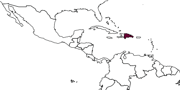 map of Anisepyris dominicanus     Evans, 1966